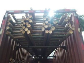 北京竹竿定做竹篱笆厂家 传统与现代结合的建筑材料选择